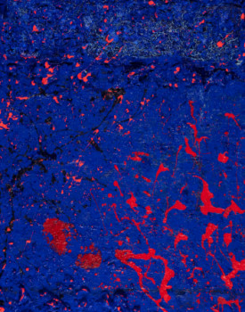 Œuvre contemporaine nommée « Walking on the moon », Réalisée par CHRISTELLE MASSY BLéNET