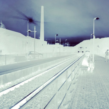 Œuvre contemporaine nommée « Elsass », Réalisée par HICHAM DAHIBI