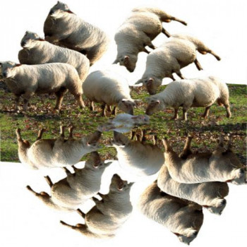Œuvre contemporaine nommée « springtime », Réalisée par TRANSCENDENTAL
