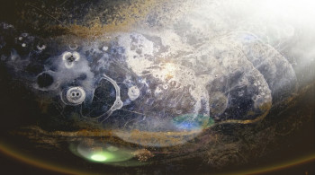 Œuvre contemporaine nommée « Voyage universel », Réalisée par MITRA SHAHKAR