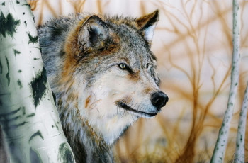 Œuvre contemporaine nommée « LE LOUP GRIS », Réalisée par LORAN