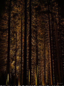 Œuvre contemporaine nommée « Promenade en Forêt magique aux Gets », Réalisée par ANNA SKURZEWSKA
