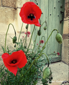 Œuvre contemporaine nommée « Les coquelicots d'Auvers », Réalisée par CORINNE LESCLINGAND