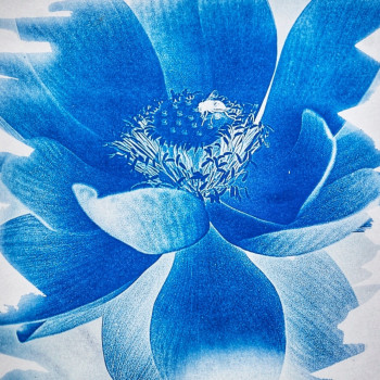 Œuvre contemporaine nommée « Lotus bleu », Réalisée par MAG