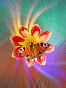 Œuvre contemporaine nommée « Fleur de Papillon 2 », Réalisée par DREAMS 14
