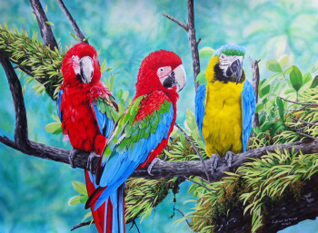 Œuvre contemporaine nommée « Blue and yellow and scarlet Macaws », Réalisée par JULIAN WHEAT