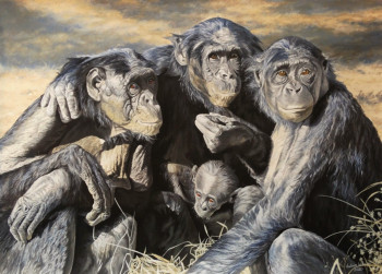 Œuvre contemporaine nommée « L'Altruisme des chimpanzées », Réalisée par JULIAN WHEAT