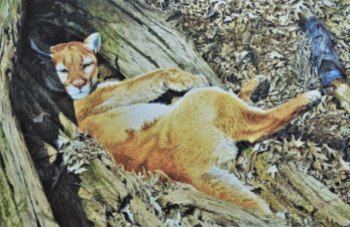 Œuvre contemporaine nommée « Siesta,la Puma », Réalisée par JULIAN WHEAT