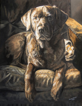 Œuvre contemporaine nommée « Mocha,Labrador chocolat », Réalisée par JULIAN WHEAT