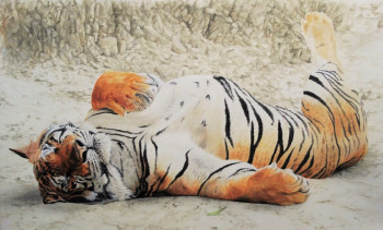 Œuvre contemporaine nommée « Siesta du Tigre », Réalisée par JULIAN WHEAT