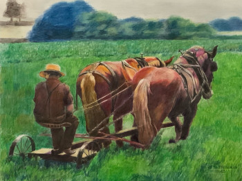 Œuvre contemporaine nommée « CHEVAUX AU PRÉ », Réalisée par JACQUES TAFFOREAU