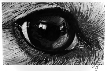 Œuvre contemporaine nommée « Dans les yeux de Nala », Réalisée par MS ART VIEW