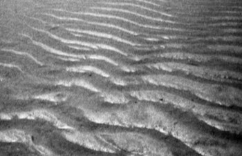 Œuvre contemporaine nommée « Ondes de sable sur la plage », Réalisée par CASSANDRE