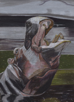 Œuvre contemporaine nommée « Un hippopotame émerge. », Réalisée par PIRDESSINS