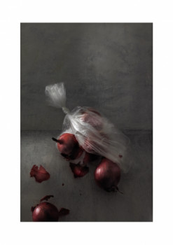 Œuvre contemporaine nommée « les oignons rouges », Réalisée par CLAUDIA ALBISSER HUND