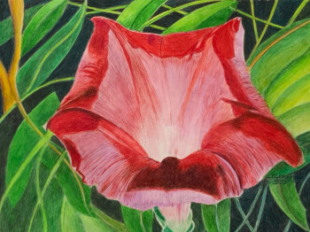 Œuvre contemporaine nommée « VOLUBILIS fleur », Réalisée par JACQUES TAFFOREAU