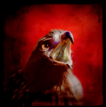 Œuvre contemporaine nommée « Le cri de l'aigle », Réalisée par LUC LOISEAUX