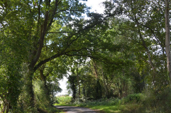 Œuvre contemporaine nommée « Chemin normand », Réalisée par B2L