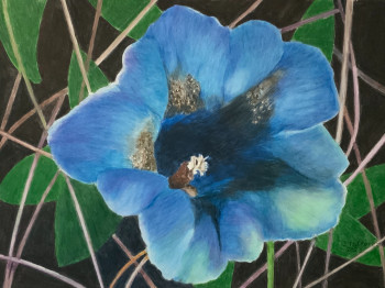 Œuvre contemporaine nommée « FLEUR SAUVAGE BLEUE », Réalisée par JACQUES TAFFOREAU