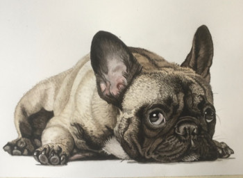 Œuvre contemporaine nommée « Bouledogue français », Réalisée par CHANTALDEBLAUWEAQUARELLES