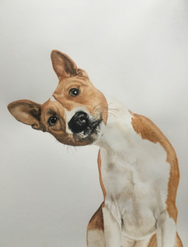 Œuvre contemporaine nommée « Jack Russel », Réalisée par CHANTALDEBLAUWEAQUARELLES