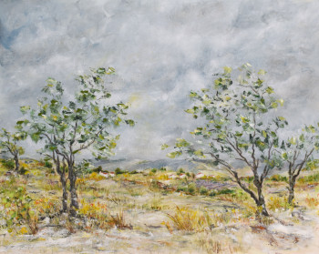 Œuvre contemporaine nommée « Orage d’été sur le plateau Cordais », Réalisée par R.DEVARREWAERE