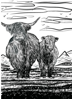 Œuvre contemporaine nommée « Angus », Réalisée par ERIC ERIC