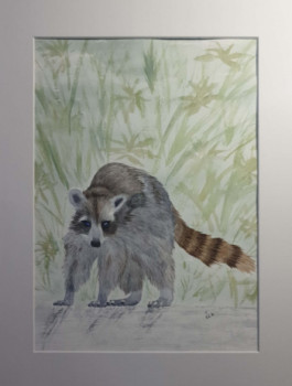 Œuvre contemporaine nommée « The raccoon », Réalisée par MIHA