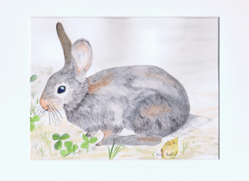 Œuvre contemporaine nommée « The rabbit », Réalisée par MIHA