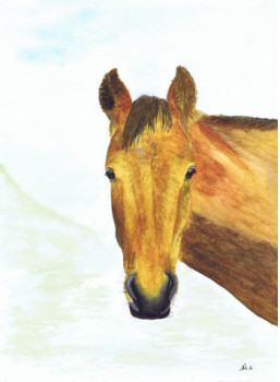 Œuvre contemporaine nommée « Portrait cheval », Réalisée par MIHA