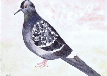 Œuvre contemporaine nommée « Pigeon biset de ville », Réalisée par MIHA