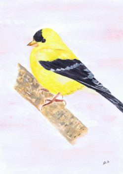 Œuvre contemporaine nommée « American Goldfinch », Réalisée par MIHA