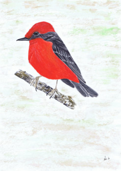 Œuvre contemporaine nommée « Vermillion Flycatcher », Réalisée par MIHA