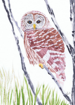 Œuvre contemporaine nommée « Barred owl », Réalisée par MIHA