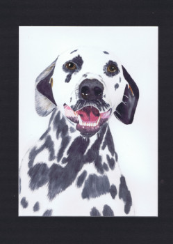 Œuvre contemporaine nommée « Portrait chien dalmatien - Dadou », Réalisée par MIHA