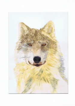 Œuvre contemporaine nommée « Portrait chien loup - Lucy », Réalisée par MIHA