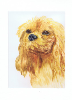 Œuvre contemporaine nommée « Portrait chien chihuahua - Chips », Réalisée par MIHA