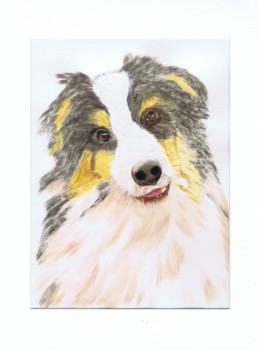 Œuvre contemporaine nommée « Portrait chien  Berger australien - Tricot », Réalisée par MIHA
