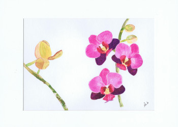 Œuvre contemporaine nommée « The orchid », Réalisée par MIHA