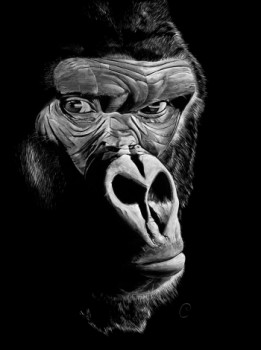 Œuvre contemporaine nommée « Gorille », Réalisée par CéCILIA PELISSIER