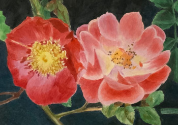 Œuvre contemporaine nommée « Fleur de rosiers sauvages », Réalisée par JACQUES TAFFOREAU