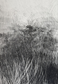 Œuvre contemporaine nommée « 2023 Tourbe Format 70x100 cm Mine graphite », Réalisée par DABANCOURT