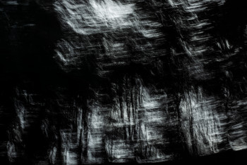 Œuvre contemporaine nommée « La forêt noire. », Réalisée par AYMERIC VAN DENHOUTE