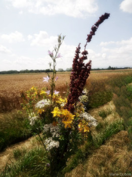 Œuvre contemporaine nommée « Fleurs des champs », Réalisée par MARIE DUBOIS