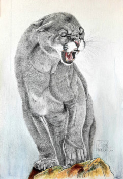Œuvre contemporaine nommée « Puma Concolor », Réalisée par GIER