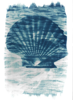 Œuvre contemporaine nommée « BLUE SHELL », Réalisée par PHOTOFROMTHESUN