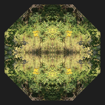 Œuvre contemporaine nommée « Fréquence Nature Octogone », Réalisée par MIROIR PLANéTAIRE BLANC