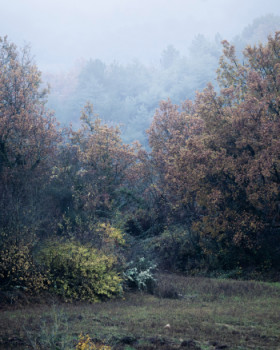 Œuvre contemporaine nommée « Photo de paysage vu de ma fenêtre », Réalisée par ONEPICS