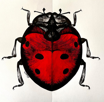 Œuvre contemporaine nommée « Red ladybug », Réalisée par CHAHRAZED