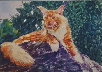 Chat Maine Coon XXL Sur le site d’ARTactif